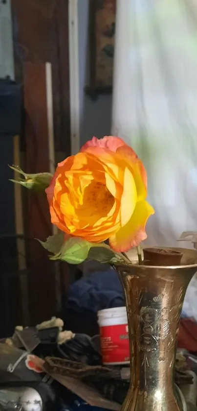 Vibrant orange rose in brass vase wallpaper, perfect for mobile display.