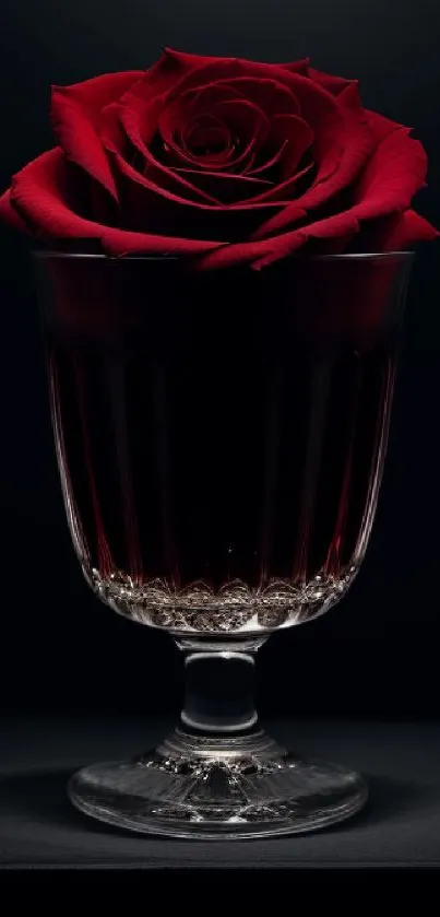 Deep red rose elegantly placed in a glass against a dark background.