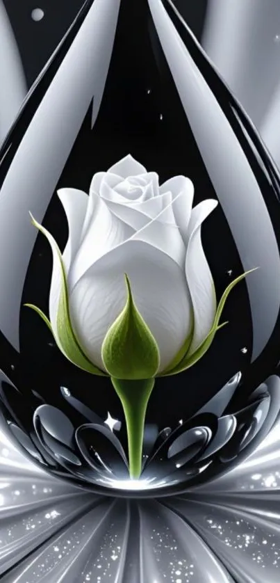 White rose captured inside a water droplet with a black and white theme.