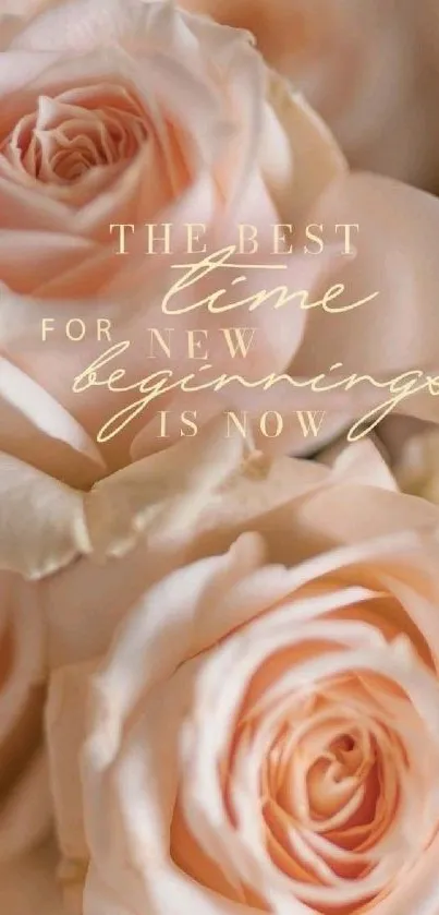 Soft pink roses with inspiring quote on elegant wallpaper.