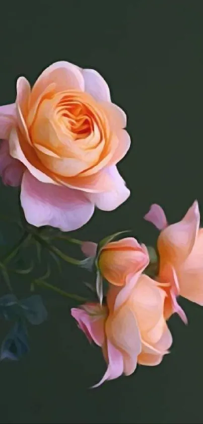 Elegant orange roses against a dark green background in mobile wallpaper.