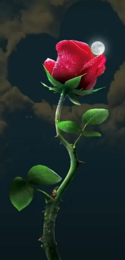 Red rose under a glowing moon in the night sky wallpaper.