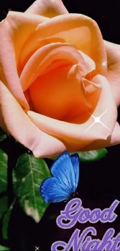 Peach rose with blue butterfly on night wallpaper.