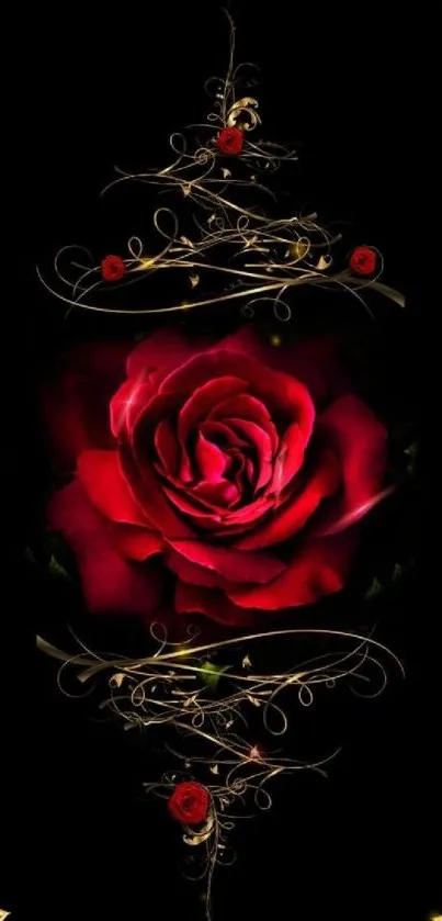 Elegant red rose with gold design on black background.