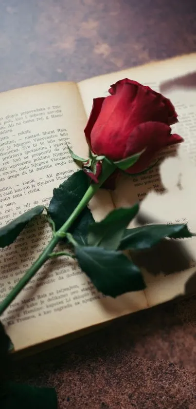 Red rose laid on an open vintage book.