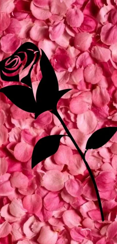 Black rose silhouette on pink petals background wallpaper.