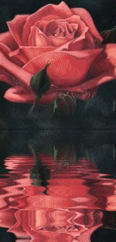 Vibrant pink rose with peaceful water reflection.