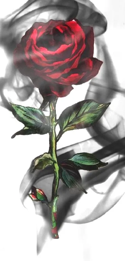 Elegant red rose with smoky background design for mobile wallpaper.