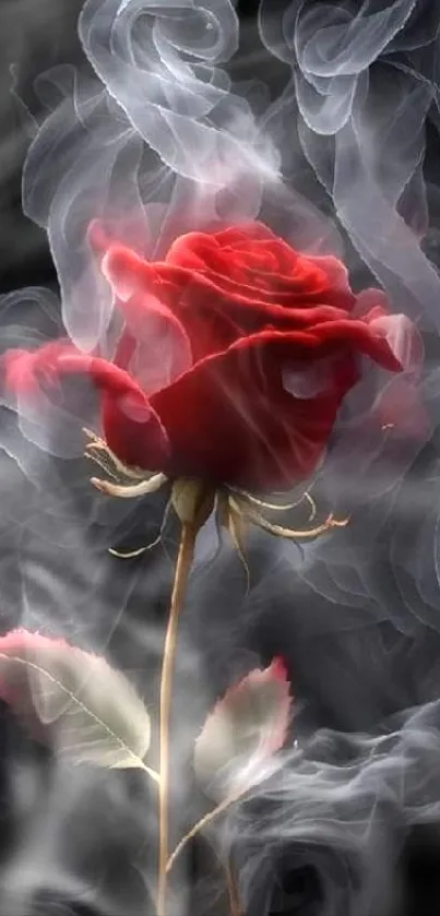 Red rose with swirling gray smoke on black background.