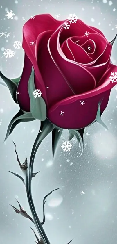 Elegant cerise red rose with snowy background on mobile wallpaper.