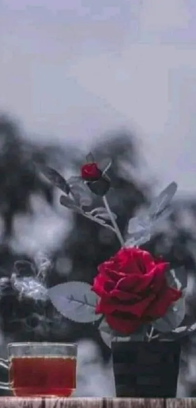 Elegant mobile wallpaper with a red rose and steaming tea on a wooden table.