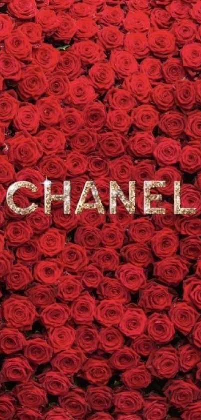 Chanel luxury logo on red roses wallpaper.