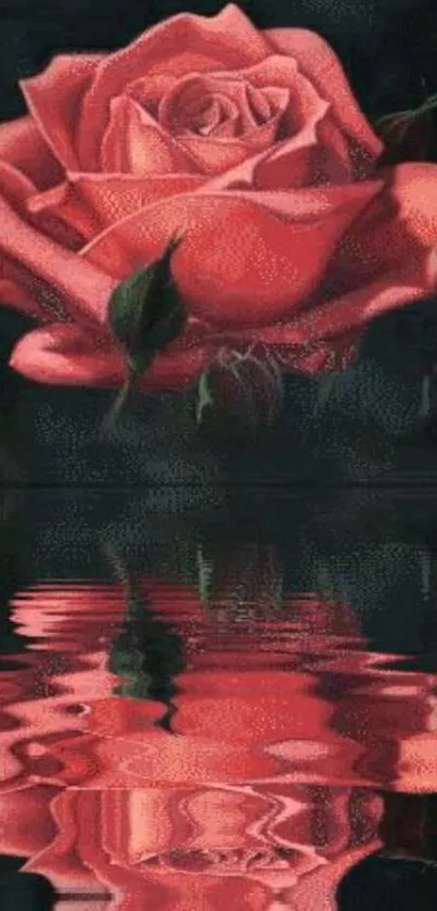 Elegant rose reflected on calm water.