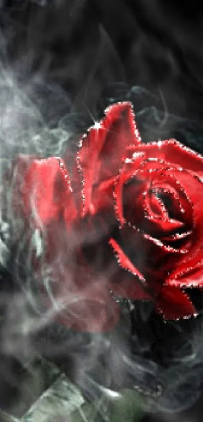 Red rose enveloped in smoke on dark background.