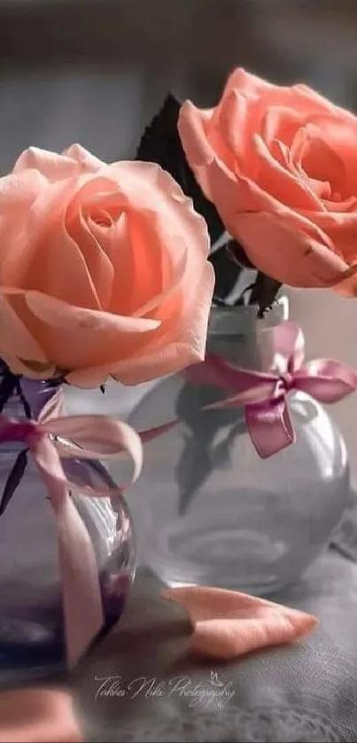 Peach roses beautifully arranged in glass vases, tied with delicate ribbons.