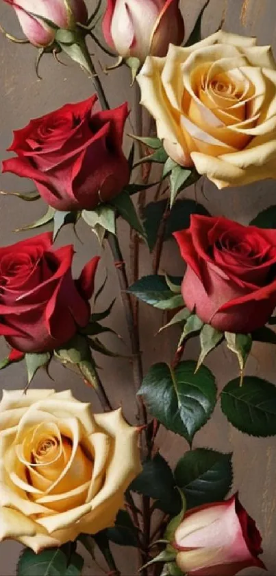 Red and yellow roses on a rustic background mobile wallpaper.