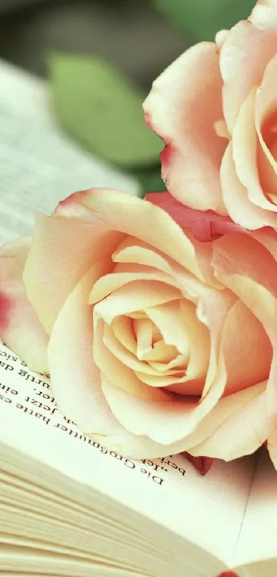 Roses elegantly placed on an open book wallpaper.