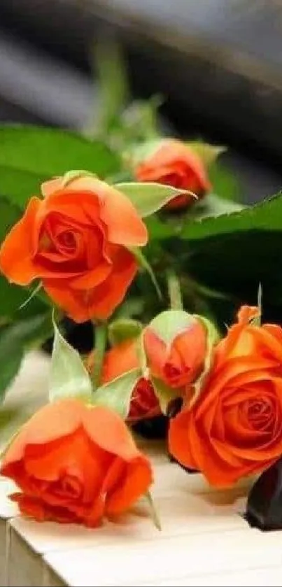 Elegant orange roses laid on piano keys, blending nature and music.