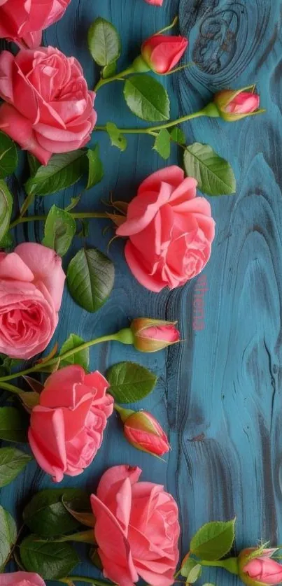 Pink roses on teal wooden background.