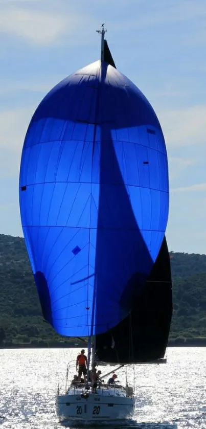 A sailboat on shimmering water with a vibrant blue sail against a clear sky.