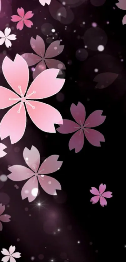 Sakura blossoms on a dark background with pink and purple hues.