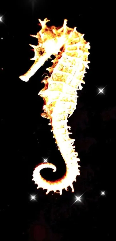 Golden seahorse on a black background wallpaper.