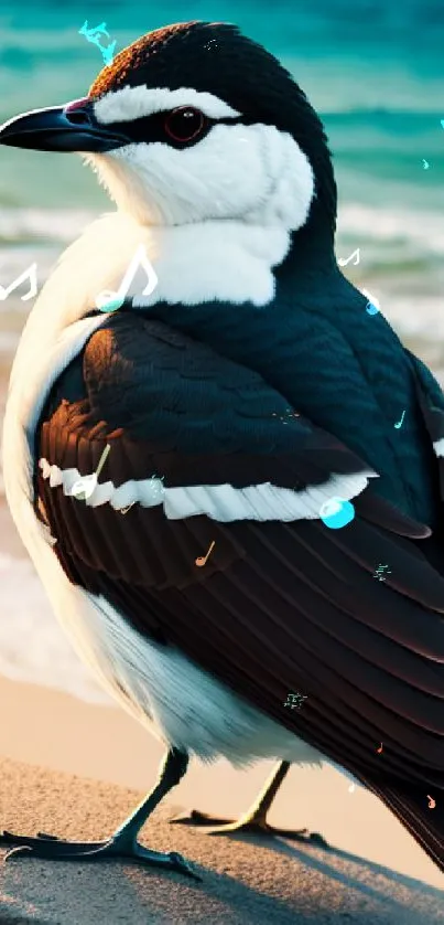 Black and white bird by the ocean at sunset.