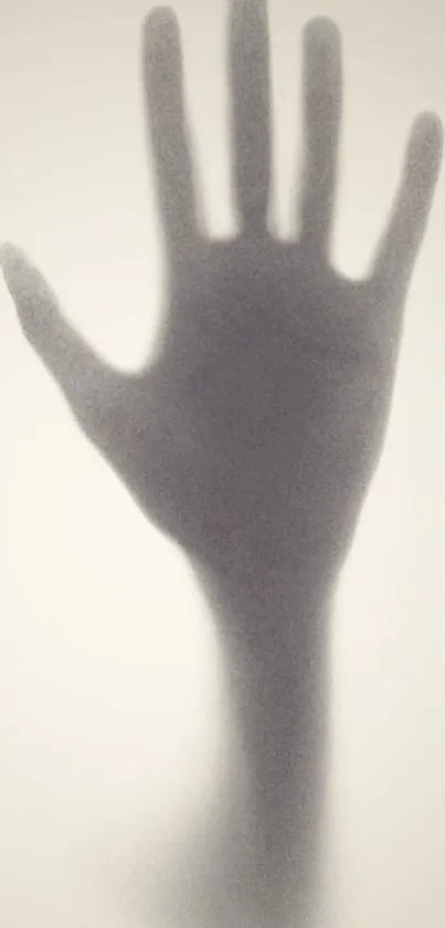 Shadow of a hand on a soft grey background, minimalist design.