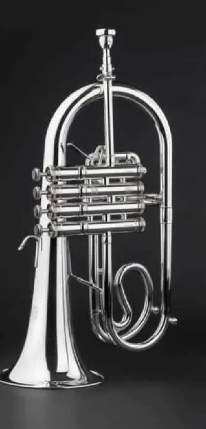 Silver brass instrument on a black background, perfect for elegant mobile wallpaper.