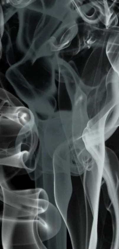 Elegant abstract smoke art in gray tones on black background.