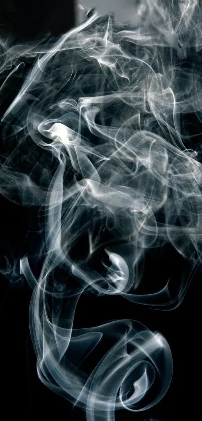 Elegant smoke art on a dark background, creating swirls and patterns.