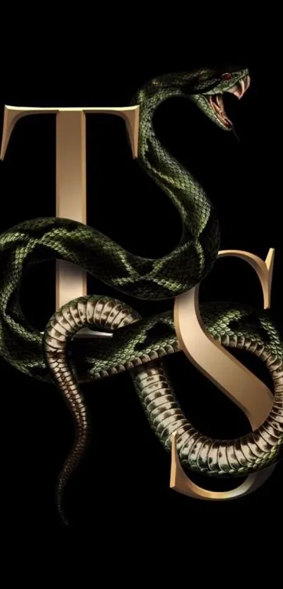 Elegant snake intertwined with letters on dark background.