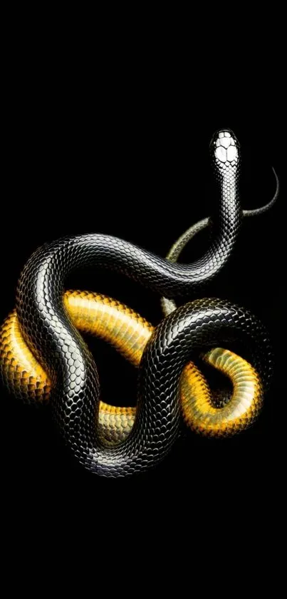 Elegant black and gold snake on a dark background wallpaper.