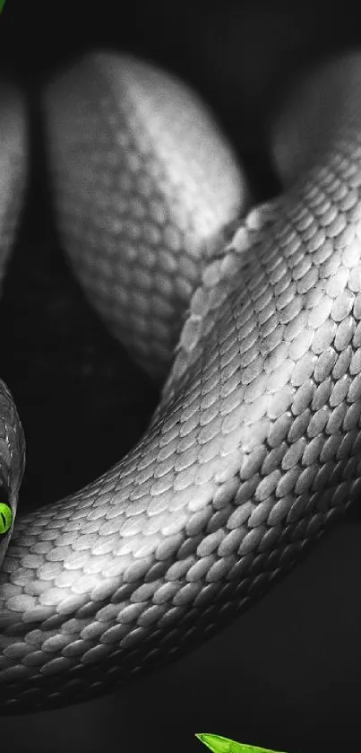 Gray-scaled snake with green eyes in a stylish monochrome design.