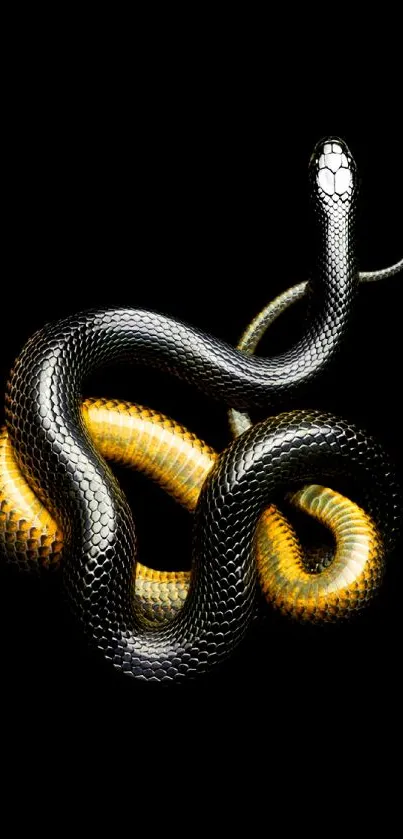 Black and gold snake on a dark background wallpaper.