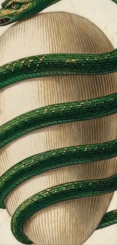 Green snake elegantly wraps around an egg in artistic wallpaper.