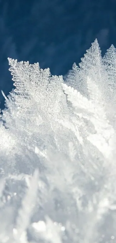 Close-up of icy snowflakes with a serene blue backdrop.