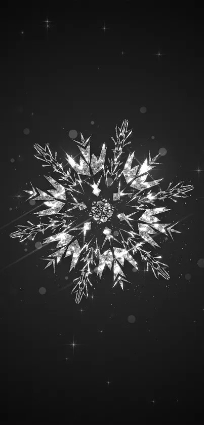 Elegant silver snowflake on a dark background.