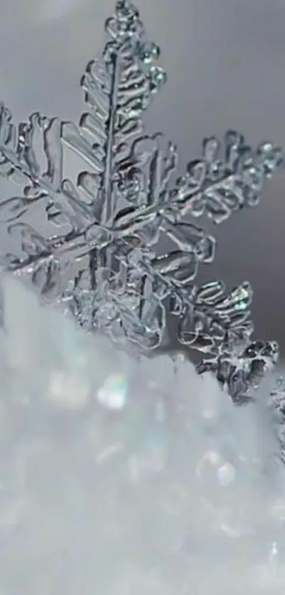 Detailed close-up of a gray snowflake on a winter background.