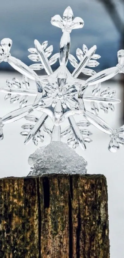 Intricate snowflake art on a frosty wooden post in winter landscape.