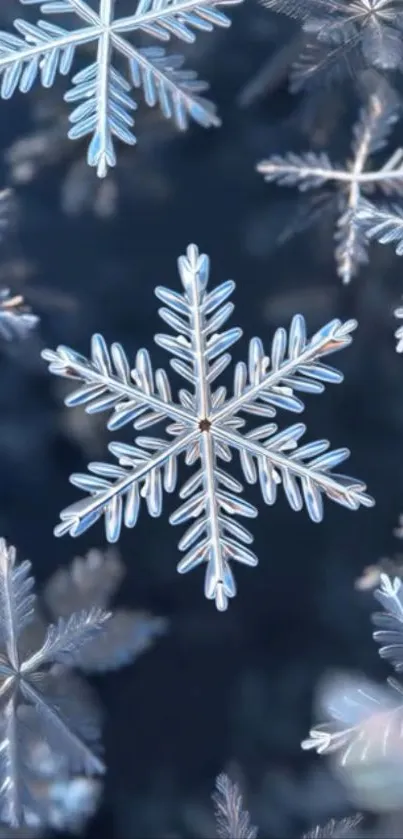Detailed snowflake pattern on a dark blue background for mobile wallpaper.