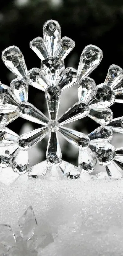 Crystal snowflakes on a snowy surface with a blurred winter background.