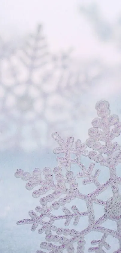 Intricate snowflake design on a light blue winter wallpaper.