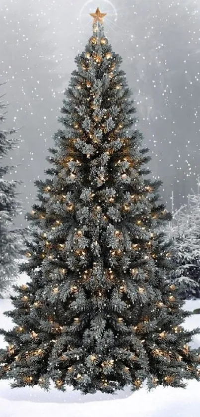 Beautifully decorated Christmas tree in snow