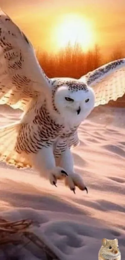 Majestic owl flying over snow at sunset.