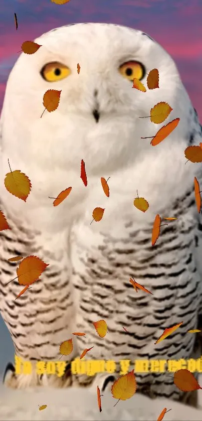 Snowy owl with autumn leaves in the pink sky