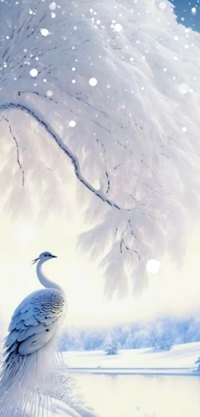 Elegant white peacock under snowy tree by a serene winter lake.