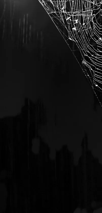 Intricate spider web on a black background.