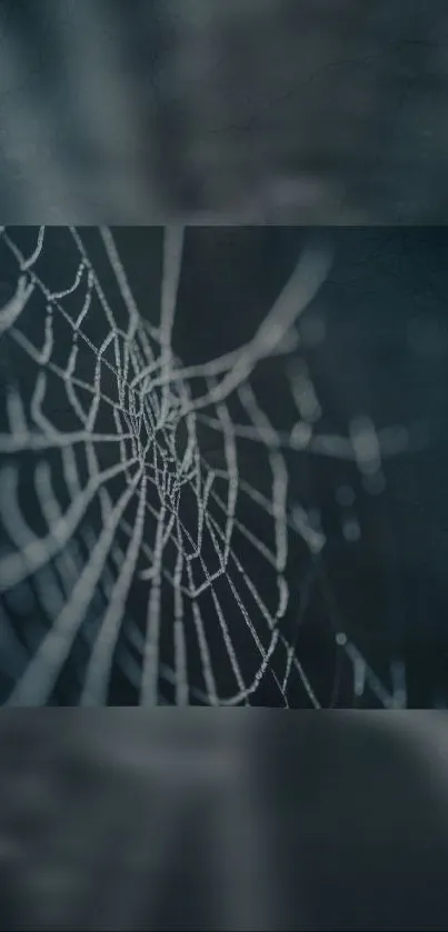 Intricate spider web pattern on a dark background as a mobile wallpaper.