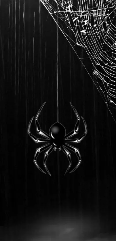 Sleek spider hanging in front of intricate web with a rainy, dark background.